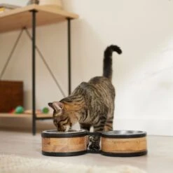 Frisco Premium Elevated Bone Design Stainless Steel Double Diner Dog & Cat Bowl 12 Frisco Premium Elevated Bone Design Stainless Steel Double Diner Dog & Cat Bowl -Frisco 331499 PT3. AC SS1800 V1657656892