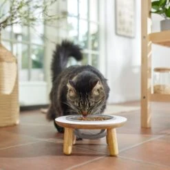 Frisco Premium Round Shape Elevated Single Dog & Cat Bowl 11 Frisco Premium Round Shape Elevated Single Dog & Cat Bowl -Frisco 331502 PT3. AC SS1800 V1657656892