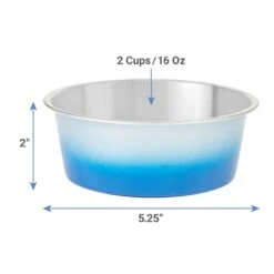 Frisco Ombre Design Stainless Steel Dog & Cat Bowl 10 Frisco Ombre Design Stainless Steel Dog & Cat Bowl -Frisco 331516 PT1. AC SS1800 V1661891841