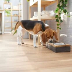 Frisco Premium Stainless Steel Double Diner Dog & Cat Bowl, Black 11 Frisco Premium Stainless Steel Double Diner Dog & Cat Bowl, Black -Frisco 331532 PT2. AC SS1800 V1657656874