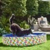 Frisco Outdoor Dog Swimming Pool, Hawaiian Print 2 Frisco Outdoor Dog Swimming Pool, Hawaiian Print -Frisco 331652 MAIN. AC SS1800 V1646179333