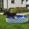 Frisco Outdoor Dog Swimming Pool, Rubber Ducky 1 Frisco Outdoor Dog Swimming Pool, Rubber Ducky -Frisco 331660 MAIN. AC SS1800 V1646178232