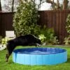 Frisco Outdoor Dog Swimming Pool 1 Frisco Outdoor Dog Swimming Pool -Frisco 331671 MAIN. AC SS1800 V1646181283