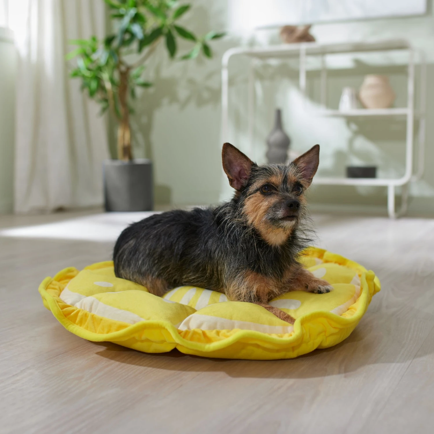 Frisco Lemon Adjustable Cat & Dog Bolster Bed 3 Frisco Lemon Adjustable Cat & Dog Bolster Bed