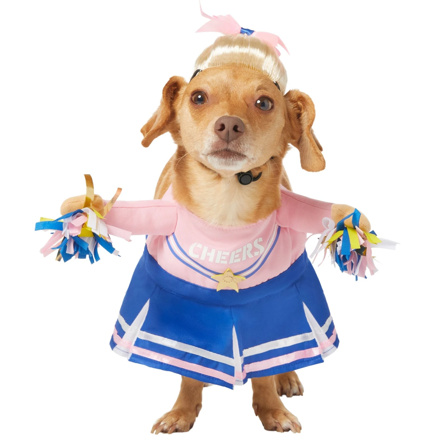 Frisco Front Walking Cheerleader Dog & Cat Costume 3 Frisco Front Walking Cheerleader Dog & Cat Costume