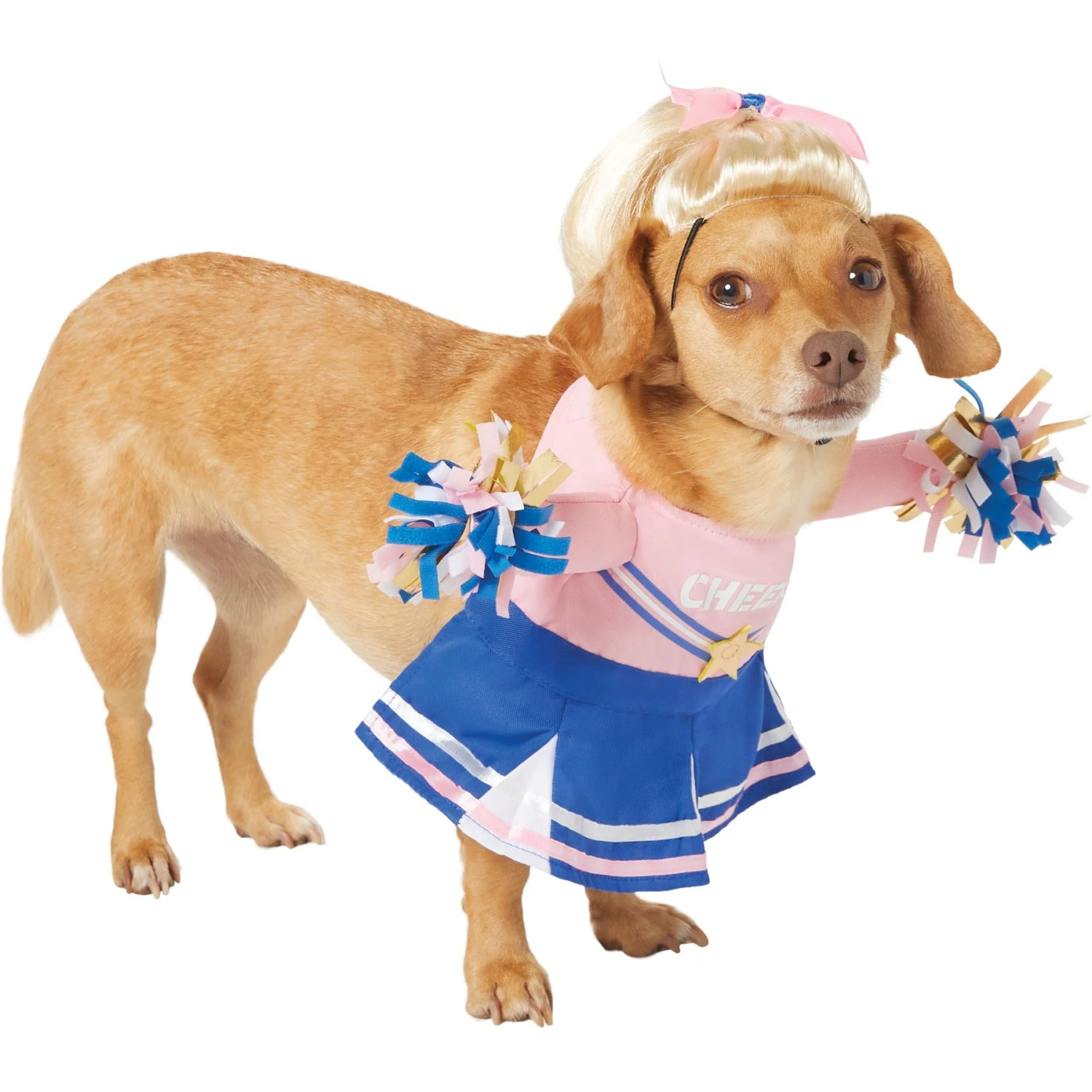 Frisco Front Walking Cheerleader Dog & Cat Costume 6 Frisco Front Walking Cheerleader Dog & Cat Costume - Image 4