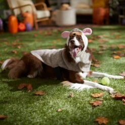 Frisco Hedgehog Dog & Cat Costume 14 Frisco Hedgehog Dog & Cat Costume -Frisco 334990 PT7. AC SS1800 V1657732628