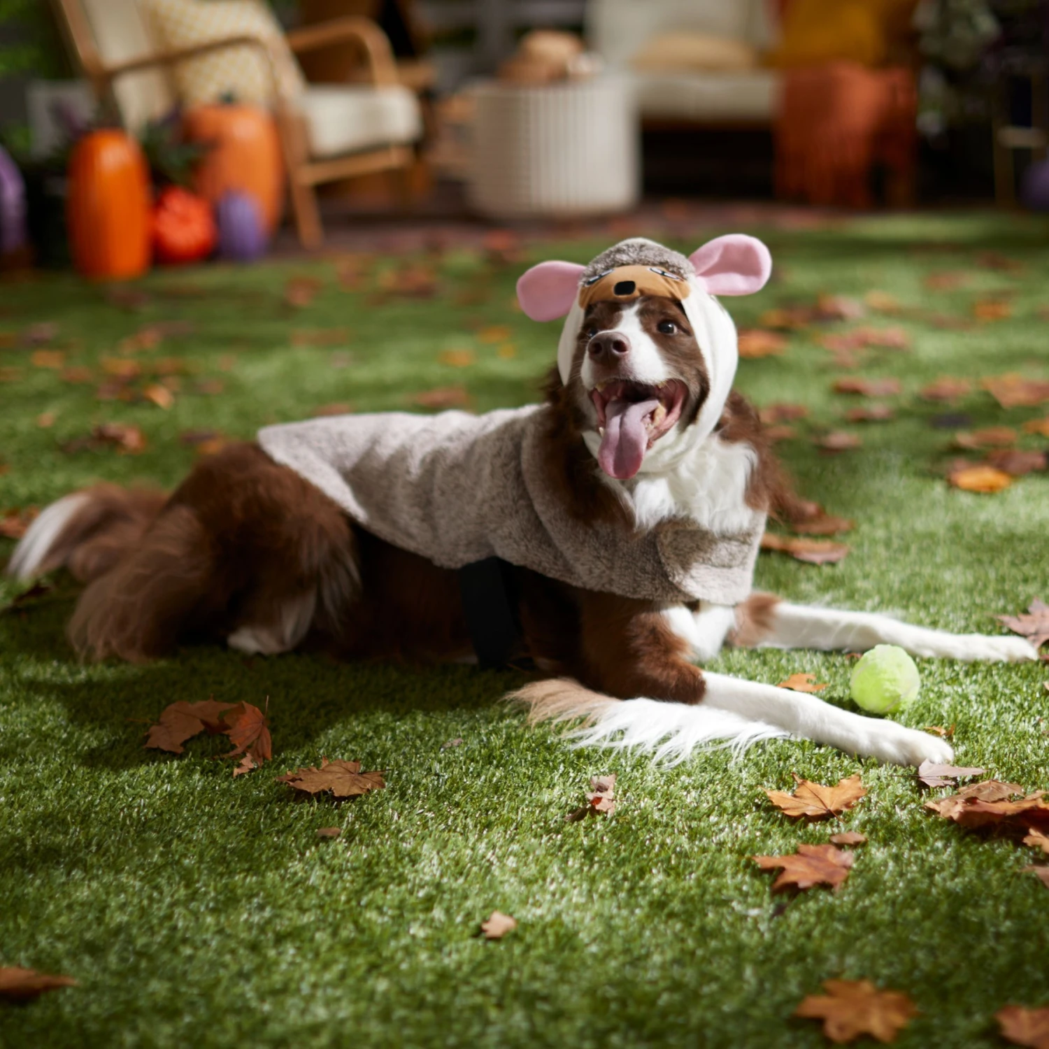 Frisco Hedgehog Dog & Cat Costume 8 Frisco Hedgehog Dog & Cat Costume - Image 6