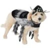 Frisco Spider Dog & Cat Costume 1 Frisco Spider Dog & Cat Costume -Frisco 335017 MAIN. AC SS1800 V1658718137