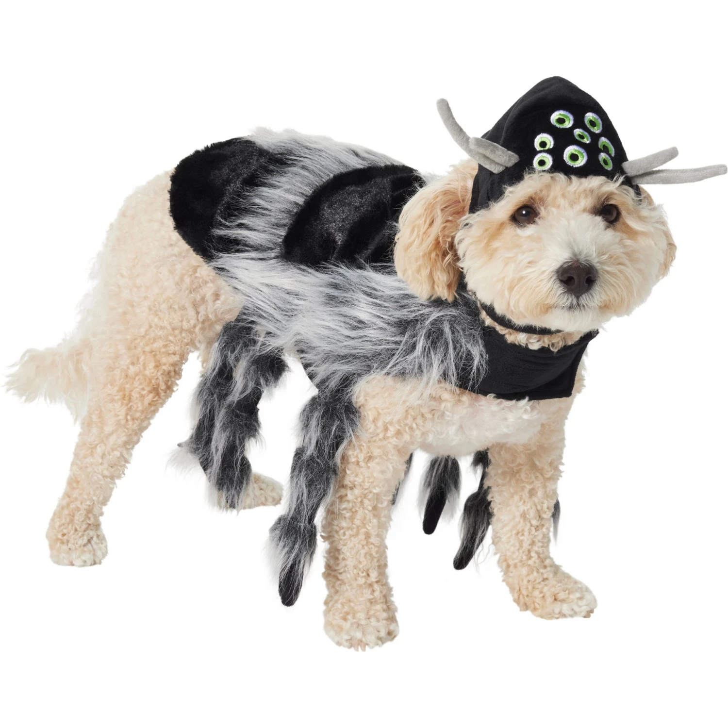 Frisco Spider Dog & Cat Costume 3 Frisco Spider Dog & Cat Costume