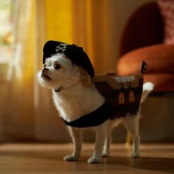 Frisco Pirate Ship Dog & Cat Costume 14 Frisco Pirate Ship Dog & Cat Costume -Frisco 335078 PT7. AC SS1800 V1657656881