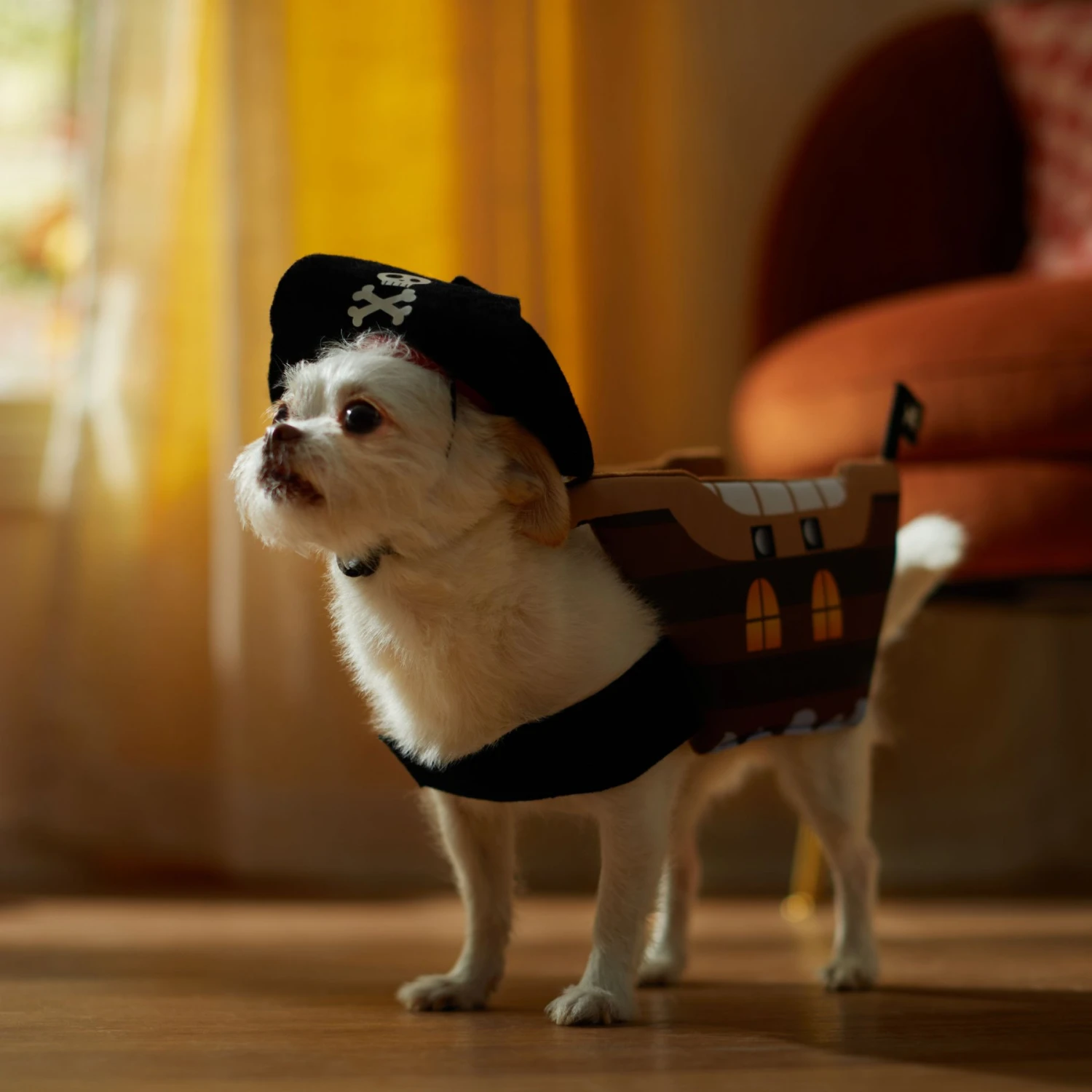 Frisco Pirate Ship Dog & Cat Costume 8 Frisco Pirate Ship Dog & Cat Costume - Image 6