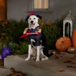 Frisco Front Walking Punk Rocker Dog & Cat Costume 16 Frisco Front Walking Punk Rocker Dog & Cat Costume -Frisco 335087 PT7. AC SS1800 V1657732627
