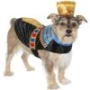 Frisco Royal Pharoah Dog & Cat Costume 2 Frisco Royal Pharoah Dog & Cat Costume -Frisco 335114 MAIN. AC SS1800 V1658346560