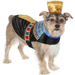 Frisco Royal Pharoah Dog & Cat Costume