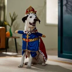 Frisco Front Walking Royal King Dog & Cat Costume -Frisco 335127 PT7. AC SS1800 V1659037728