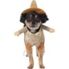Frisco Front Walking Scarecrow Dog & Cat Costume 1 Frisco Front Walking Scarecrow Dog & Cat Costume -Frisco 335135 MAIN. AC SS1800 V1658349298