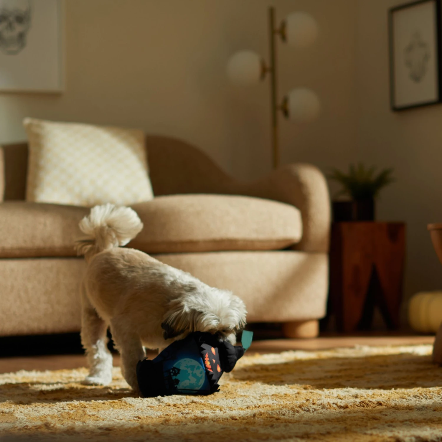 Frisco Halloween Lantern Ballistic Nylon Plush Squeaky Dog Toy 5 Frisco Halloween Lantern Ballistic Nylon Plush Squeaky Dog Toy - Image 3