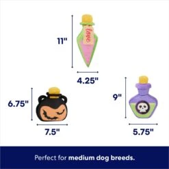 Frisco Halloween Potion Bottles Plush Squeaky Dog Toy 8 Frisco Halloween Potion Bottles Plush Squeaky Dog Toy -Frisco 344144 PT1. AC SS1800 V1689878416