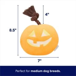 Frisco Halloween Pumpkin Round Plush With Rope Squeaky Dog Toy 8 Frisco Halloween Pumpkin Round Plush With Rope Squeaky Dog Toy -Frisco 344152 PT1. AC SS1800 V1689876459