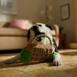 Frisco Halloween "Will Do Tricks For Treats" Sign Plush With Rope Squeaky Dog Toy 11 Frisco Halloween "Will Do Tricks For Treats" Sign Plush With Rope Squeaky Dog Toy -Frisco 344172 PT3. AC SS1800 V1657657049