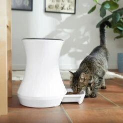 Frisco Automatic Cat & Dog Feeder, White, 13.5 Cup 16 Frisco Automatic Cat & Dog Feeder, White, 13.5 Cup -Frisco 345285 PT6. AC SS1800 V1658219294