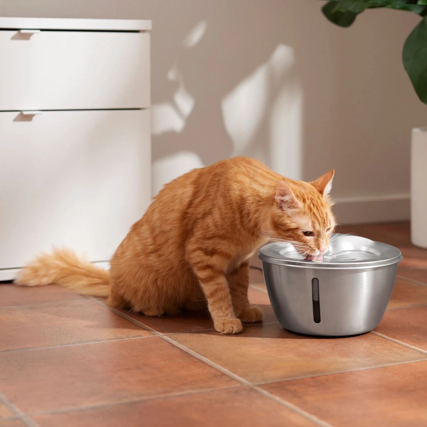 Frisco Stainless Steel Heart Dog & Cat Fountain 3 Frisco Stainless Steel Heart Dog & Cat Fountain