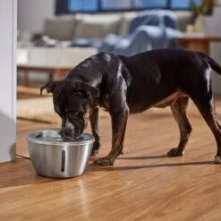 Frisco Stainless Steel Heart Dog & Cat Fountain 14 Frisco Stainless Steel Heart Dog & Cat Fountain -Frisco 355816 PT5. AC SS1800 V1665684540