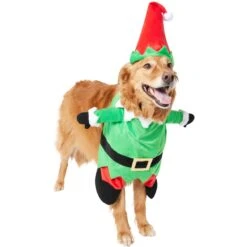 Frisco Front Walking Elf Dog & Cat Costume 15 Frisco Front Walking Elf Dog & Cat Costume -Frisco 357956 PT4. AC SS1800 V1660757458