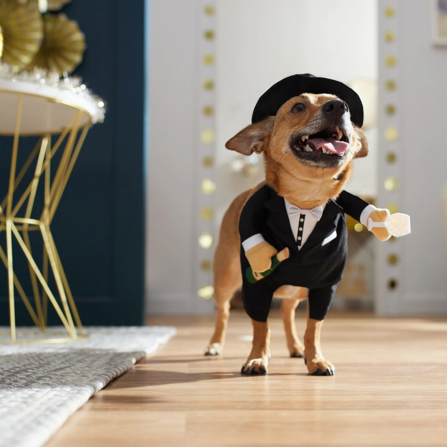 Frisco Front Walking New Years Tuxedo Dog & Cat Costume 10 Frisco Front Walking New Years Tuxedo Dog & Cat Costume - Image 8