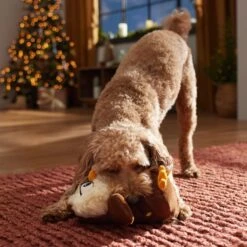 Frisco Holiday Festive Owl Plush Squeaky Dog Toy 8 Frisco Holiday Festive Owl Plush Squeaky Dog Toy -Frisco 360919 PT3. AC SS1800 V1661874361