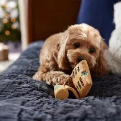 Frisco Holiday Santa's List Plush & TPR Inside Dog Toy 9 Frisco Holiday Santa's List Plush & TPR Inside Dog Toy -Frisco 360970 PT3. AC SS1800 V1661874421