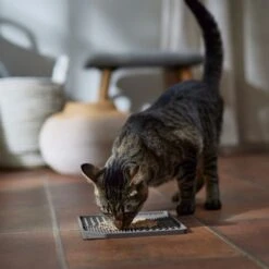 Frisco Non-skid Square Silicone Dog & Cat Lick Mat 11 Frisco Non-skid Square Silicone Dog & Cat Lick Mat -Frisco 363402 PT3. AC SS1800 V1665170734