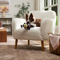 Frisco Valentine Jammin' Ladybug Plush Squeaky Dog Toy 10 Frisco Valentine Jammin' Ladybug Plush Squeaky Dog Toy -Frisco 371083 PT3. AC SS1800 V1668737455