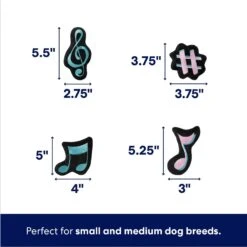 Frisco Valentine Love Song Record Player Hide & Seek Puzzle Plush Squeaky Dog Toy 9 Frisco Valentine Love Song Record Player Hide & Seek Puzzle Plush Squeaky Dog Toy -Frisco 371087 PT2. AC SS1800 V1701364927