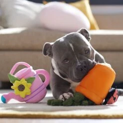 Frisco Spring Potted Plant And Watering Can Plush Squeaky Dog Toy 10 Frisco Spring Potted Plant And Watering Can Plush Squeaky Dog Toy -Frisco 541494 PT4. AC SS1800 V1702500565