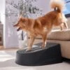 Frisco Plastic Easy Step Cat & Dog Stair 2 Frisco Plastic Easy Step Cat & Dog Stair -Frisco 542390 MAIN. AC SS1800 V1671829661