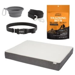 Frisco Solid Nylon Dog Leash + 4 Items