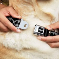 Frisco Bat Wings Dog & Cat Costume & Buckle-Down Batman Shield Polyester Dog Collar 17 Frisco Bat Wings Dog & Cat Costume & Buckle-Down Batman Shield Polyester Dog Collar -Frisco 638566 PT6. AC SS1800 V1663254111