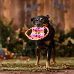 Frisco Halloween Ghost Swirl Fetch Flyer Dog Toy 8 Frisco Halloween Ghost Swirl Fetch Flyer Dog Toy -Frisco 668294 PT3. AC SS1800 V1689278363