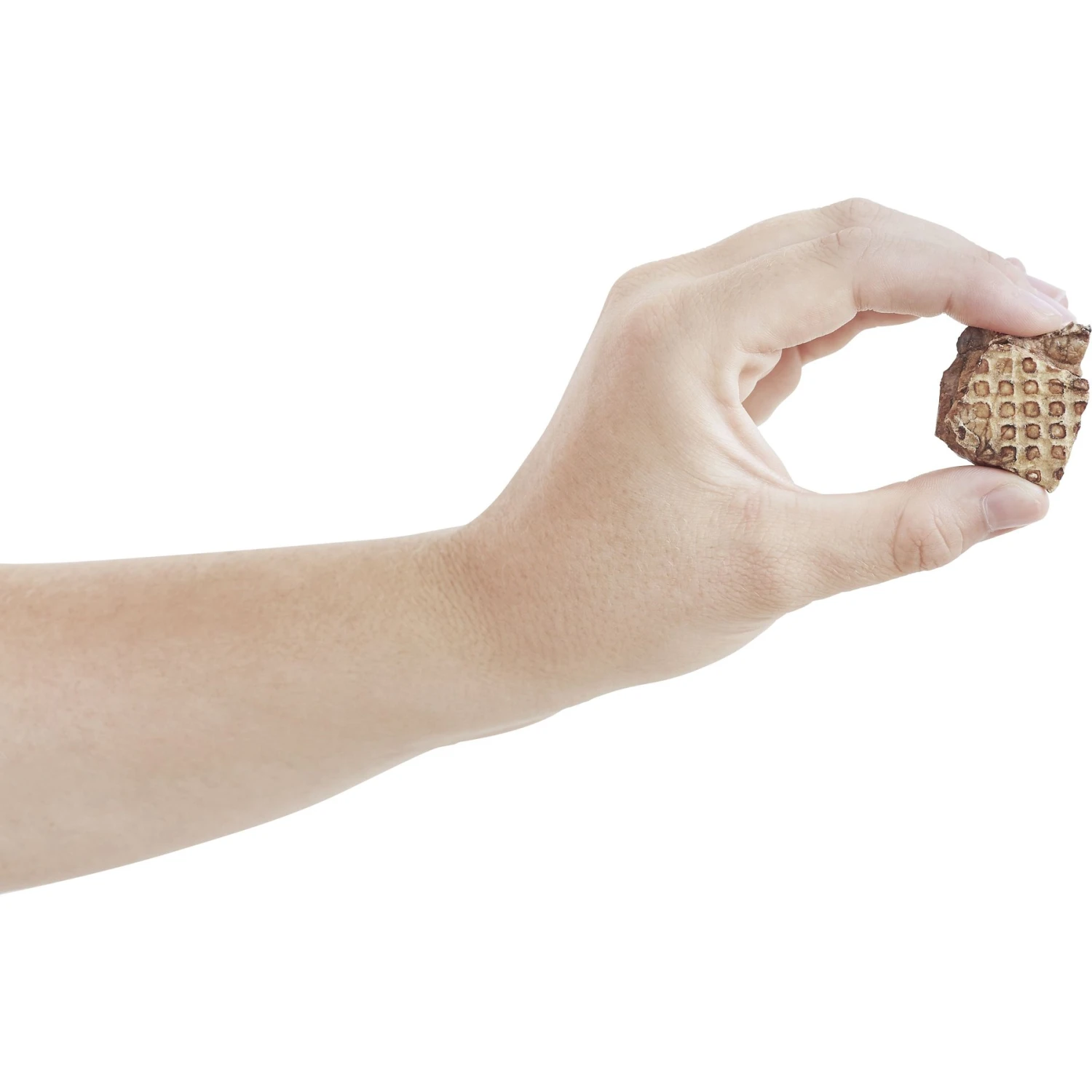 Frisco Extra Large Eco-Conscious Dog Training & Potty Pads & Bones & Chews All-Natural Lamb Lung Dehydrated Dog Treats 11 Frisco Extra Large Eco-Conscious Dog Training & Potty Pads & Bones & Chews All-Natural Lamb Lung Dehydrated Dog Treats - Image 9