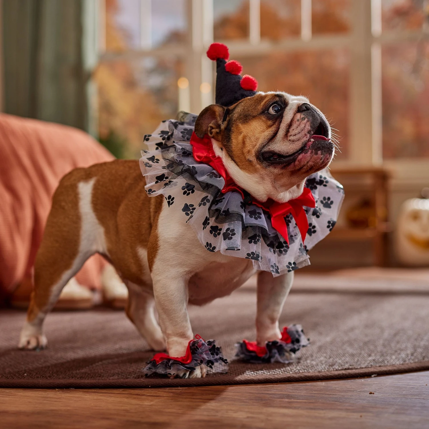 Frisco Clown Dog & Cat Costume Accessory 8 Frisco Clown Dog & Cat Costume Accessory - Image 6