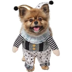 Frisco Front Walking Glitter Clown Dog & Cat Costume 13 Frisco Front Walking Glitter Clown Dog & Cat Costume -Frisco 707542 PT2. AC SS1800 V1689351699