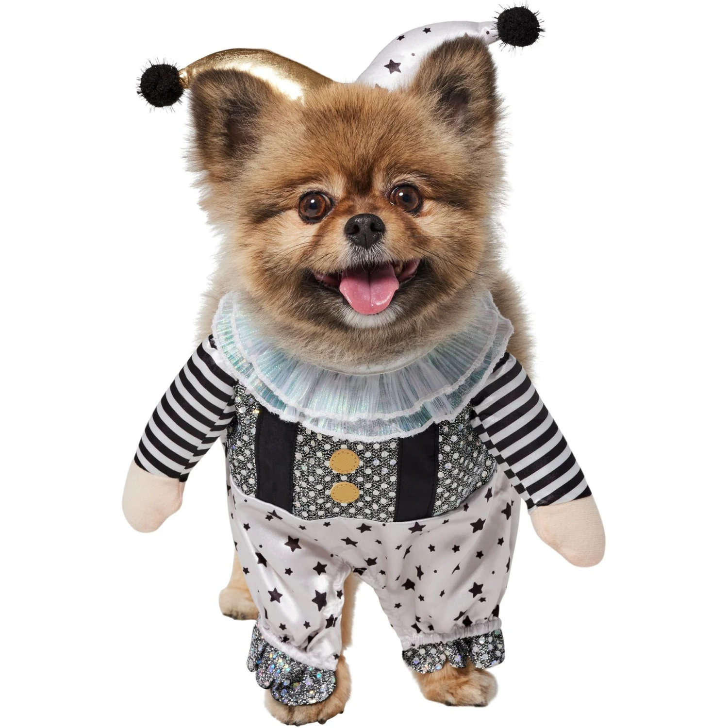 Frisco Front Walking Glitter Clown Dog & Cat Costume 5 Frisco Front Walking Glitter Clown Dog & Cat Costume - Image 3
