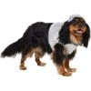Frisco Disco Ball Dog & Cat Costume 2 Frisco Disco Ball Dog & Cat Costume -Frisco 707934 MAIN. AC SS1800 V1689351464