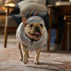 Frisco Disco Ball Dog & Cat Costume 16 Frisco Disco Ball Dog & Cat Costume -Frisco 707934 PT7. AC SS1800 V1689271312