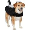 Frisco Faux Fur Skunk Dog & Cat Costume 2 Frisco Faux Fur Skunk Dog & Cat Costume -Frisco 708078 MAIN. AC SS1800 V1689350100