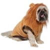 Frisco Lion Love Dog & Cat Costume 1 Frisco Lion Love Dog & Cat Costume -Frisco 708318 MAIN. AC SS1800 V1689278301