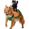 Frisco Pumpkin Cat Ride-On Dog & Cat Costume 1 Frisco Pumpkin Cat Ride-On Dog & Cat Costume -Frisco 709294 MAIN. AC SS1800 V1689270833