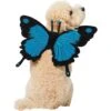 Frisco Magical Butterfly Wings Dog & Cat Costume Accessory 2 Frisco Magical Butterfly Wings Dog & Cat Costume Accessory -Frisco 713062 MAIN. AC SS1800 V1689271325